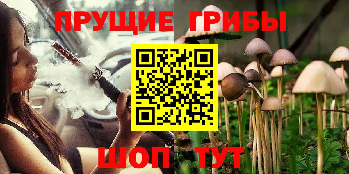 Псилоцибиновые грибы прущие грибы  Вход с VPN  Бузулук  Галлюциногенные грибы GOLDEN TEACHER 