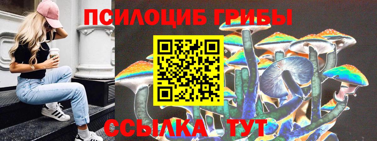 Галлюциногенные грибы мицелий Бузулук